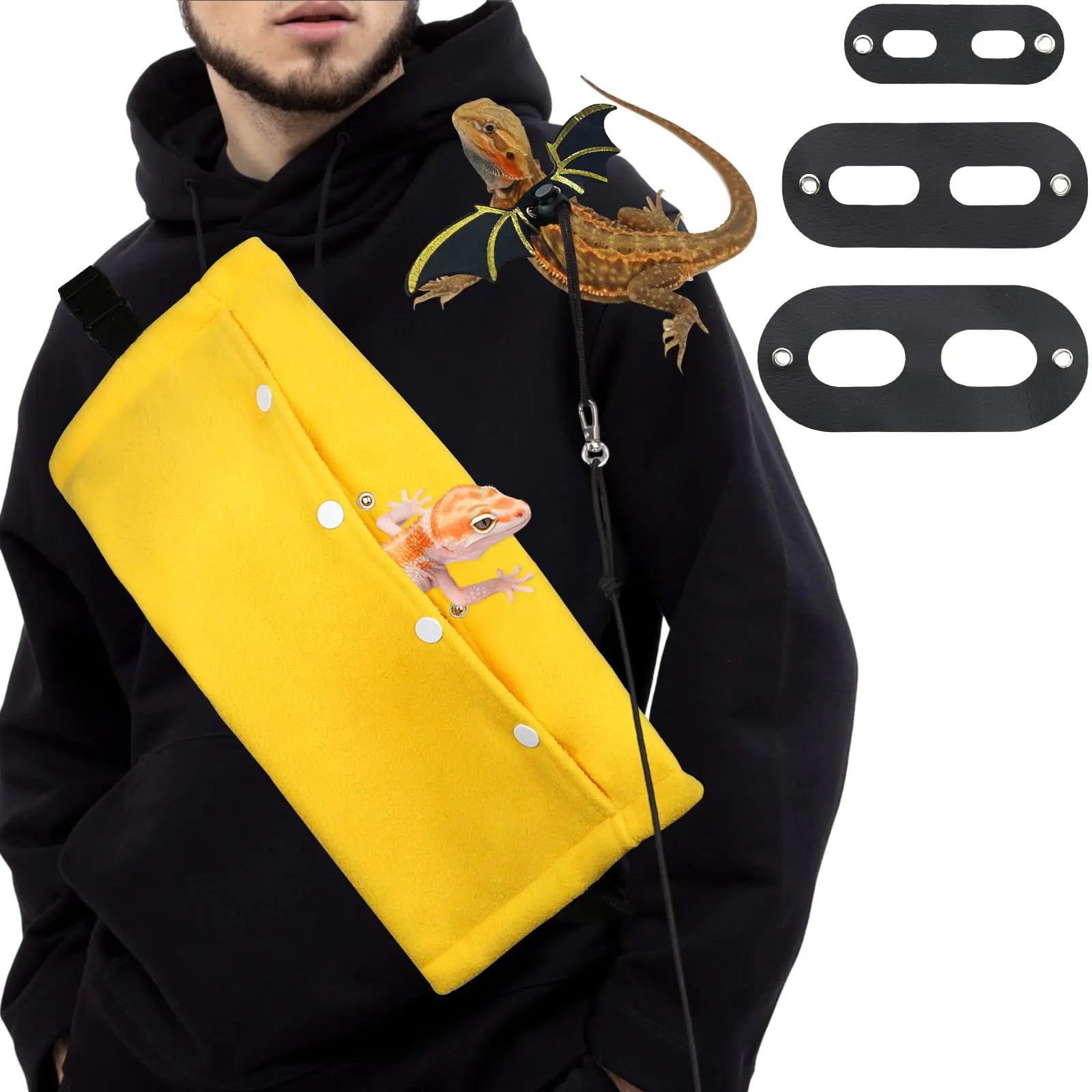 Bearded Dragon Carrier & Leash Set
