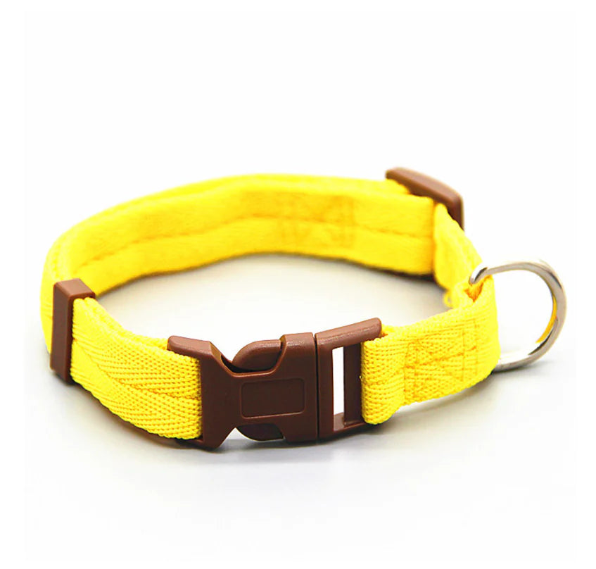 Adjustable Dog Collars for All Breeds