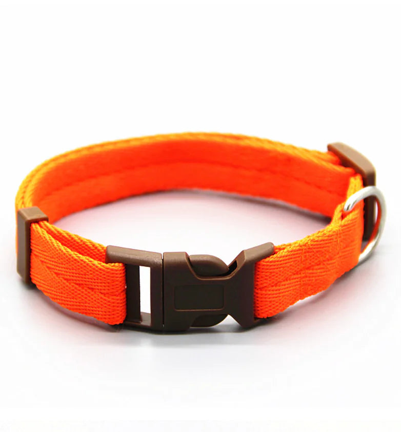 Adjustable Dog Collars for All Breeds