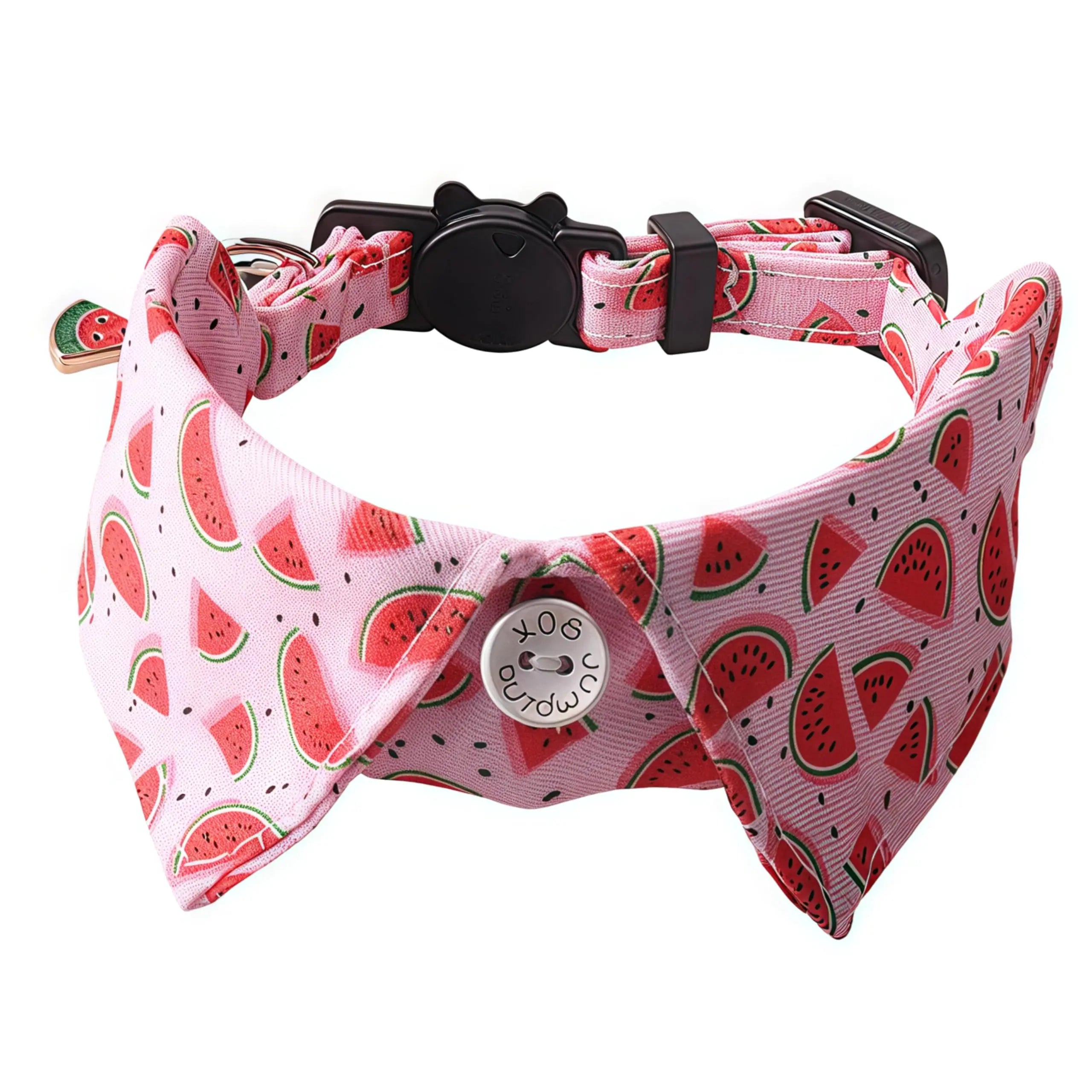 Watermelon Breakaway Pet Collar with Bow