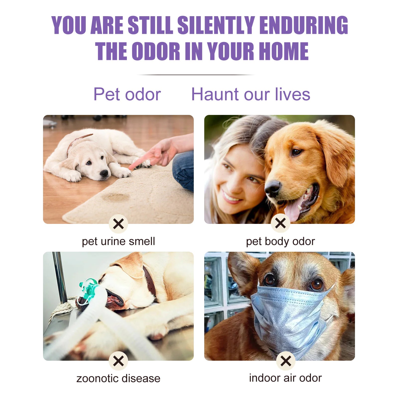 Pet Odor Control Spray for Home & Pets
