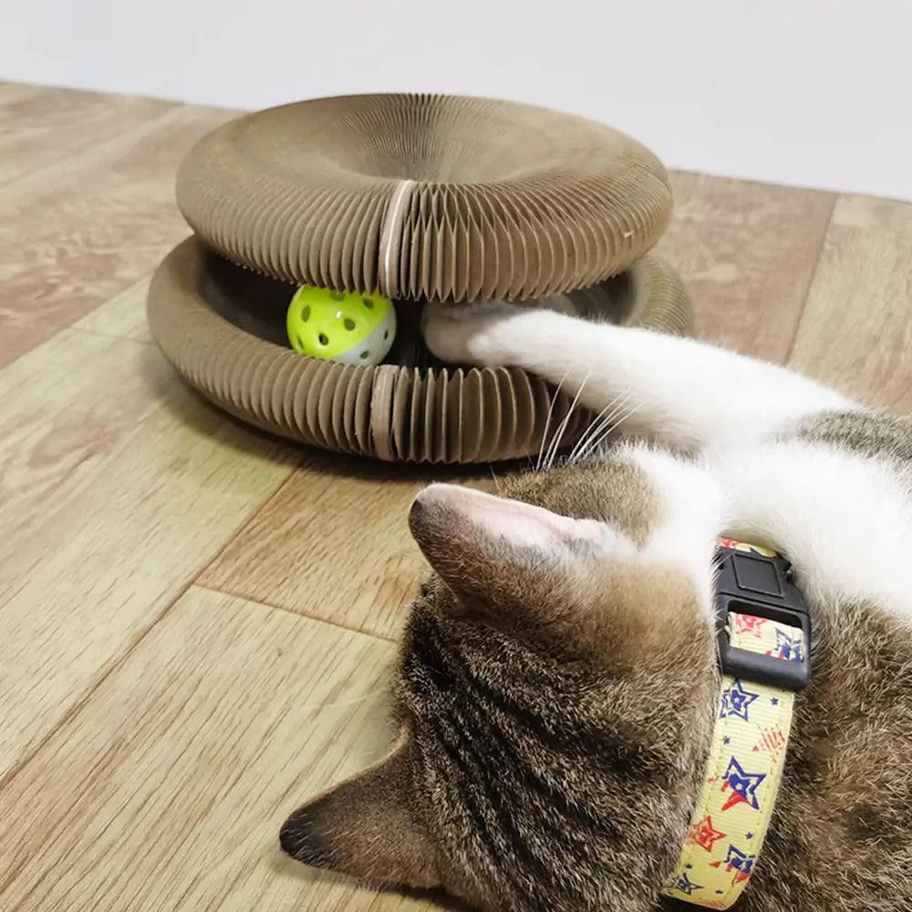 😺 Cat Scratcher Snuggle & Rest Corrugated Cat Scratcher Made from Recycled Corrugated Cardboard, Durable & Long Lasting